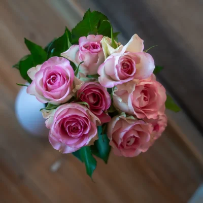 fewo-bergliebe-braunlage-12