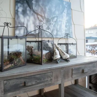 fewo-bergliebe-braunlage-26